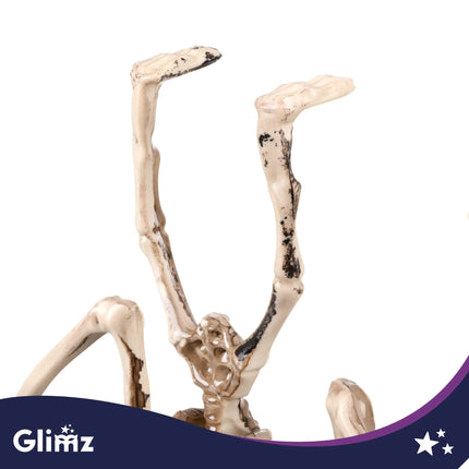 Flagermus-skelet – dekoration, 30 cm, Glimz