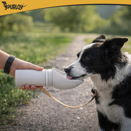 Hunde-vandflaske 550 ml Purlov