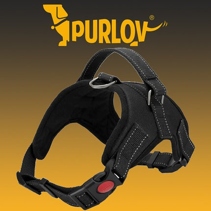 Tryg og Komfortabel Hundesele i Størrelse M – Trykfri Design