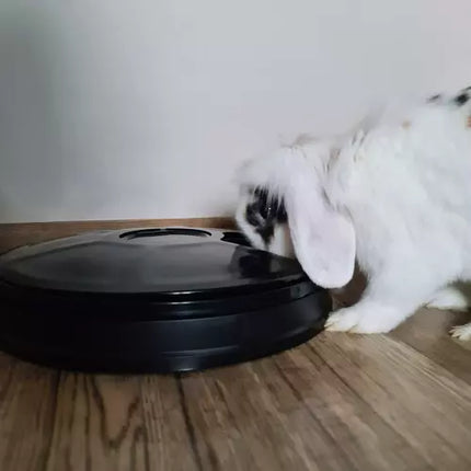 Automatisk Foderdispenser til Dyr – Praktisk og Tidsbesparende