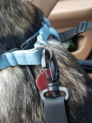 Hundesæde til Bil - Sikker og Komfortabel Transport af Dit Kæledyr