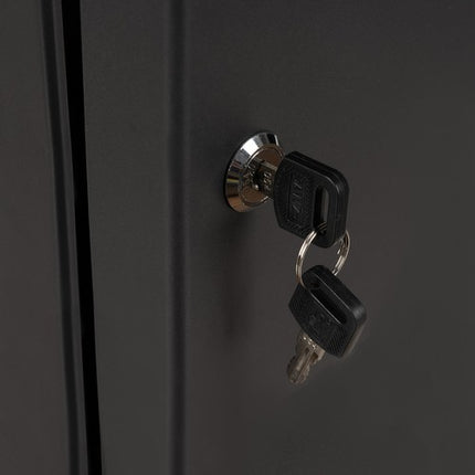 Praktisk Nøgleskab med 48 Krog og Farvekodede Identifikationer