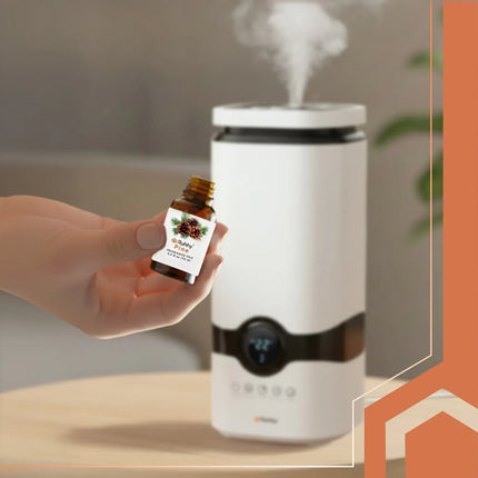 Essentielle Olier Sæt - 6 Forskellige Dufte i 10 ml Flasker