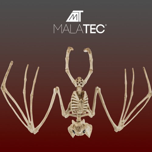 Store Flagermus Skelet Halloween Dekoration – Skab en Uhyggelig Stemning