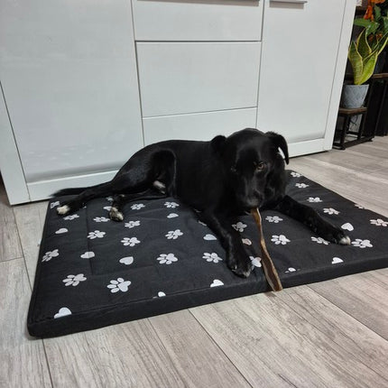 Vandtæt Hundeseng XXL – Blød og Komfortabel Madras til Store Hunde