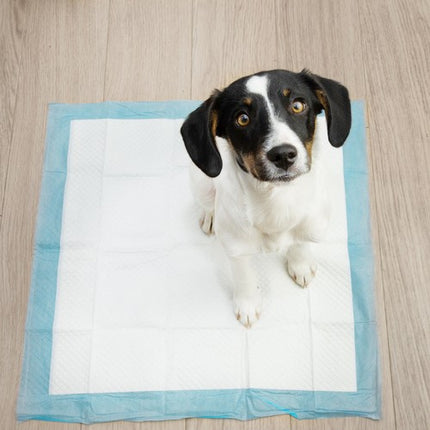 Hygiejneunderlag til Dyr - 50 stk. 60x60 cm + Affaldsposer x 30