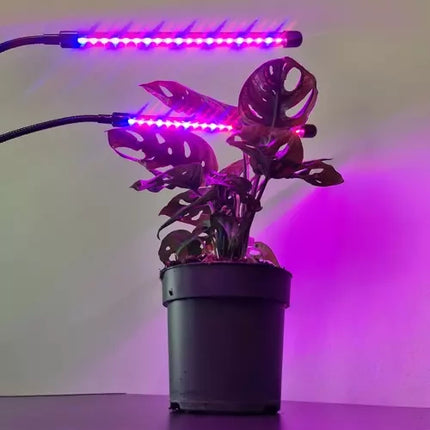 Vandtæt Vækstlampe til Planter med Timer og Fjernbetjening