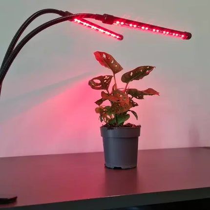 Vandtæt Vækstlampe til Planter med Timer og Fjernbetjening