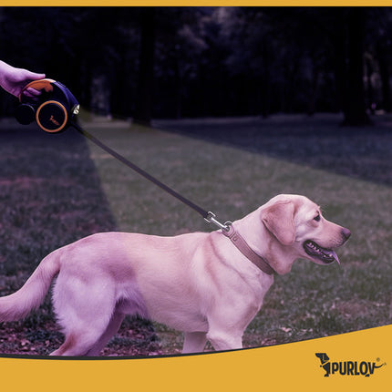 Automatisk hundesnor med LED lygte og 5m længde