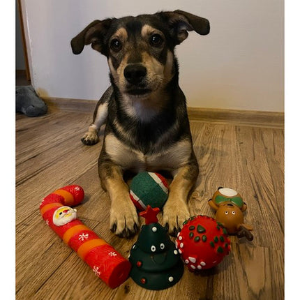 Julegave Sæt til Hunde - 6 Sjove Legetøj til Din Poteven