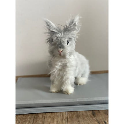 Kølemåtte til hunde og katte - XL, foldbar og sikker