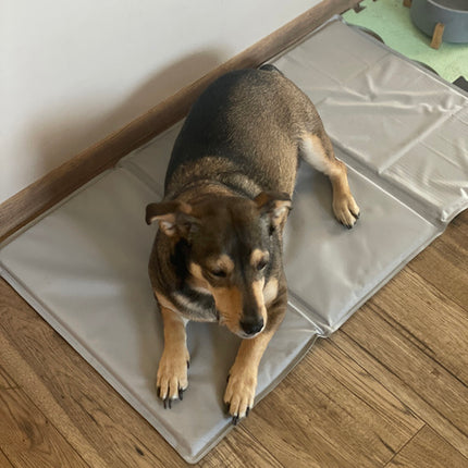 Kølemåtte til hunde og katte - XL, foldbar og sikker