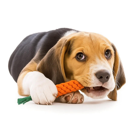 Hundelegetøj sæt med reb og knuder til sjov leg