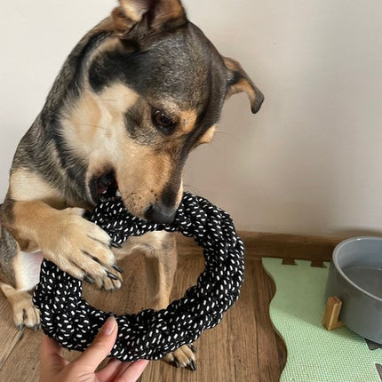 Hundelegetøj Sæt - 10 Stk. Underholdning til Din Hund