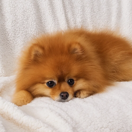 Dobbelt-sidet tæppe 150x200cm i mørkegrå med blødhed og varme