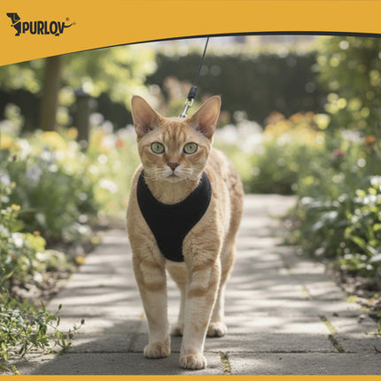 Trykfri sele til små hunde og katte med refleks