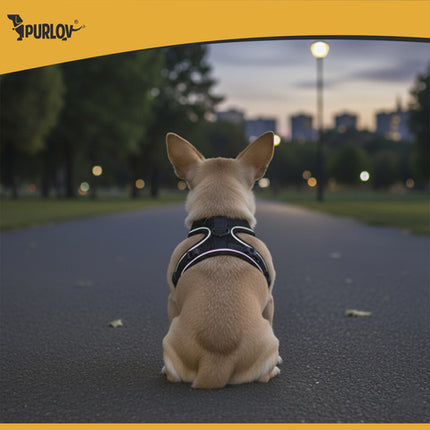 Trykfri sele til små hunde og katte med refleks