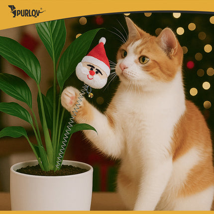 Purlov kattelegetøj sæt med 6 sjove og sikre legetøj