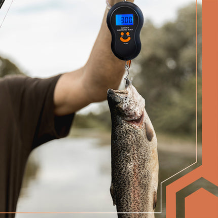 Praktisk hook scale til vejning op til 50 kg med LCD-display