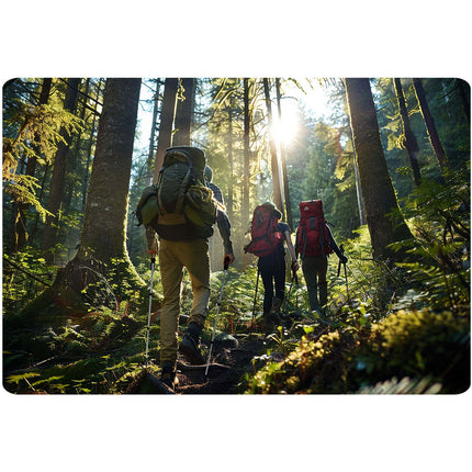 Lette og holdbare vandrestave med justerbar længde 65-135 cm - perfekt til trekking og lange gåture i naturen