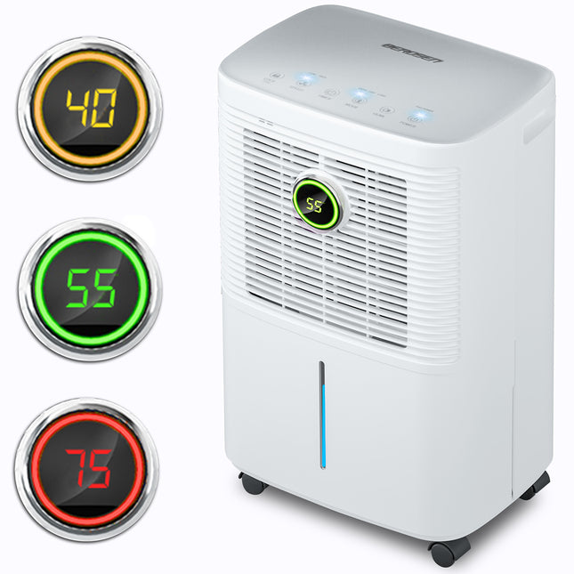 Effektiv affugter med kompressor - 12 l/24 timer til hjemmet