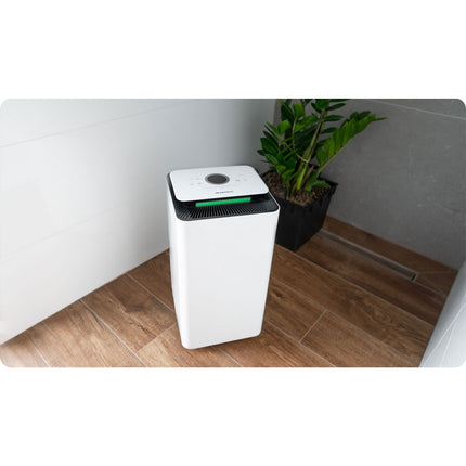 Effektiv affugter til hjemmet - 12L daglig kapacitet, kompakt design