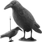 Effektiv Ravnefigur til Fugleskræmning – Hold Pigeon og Stære Væk