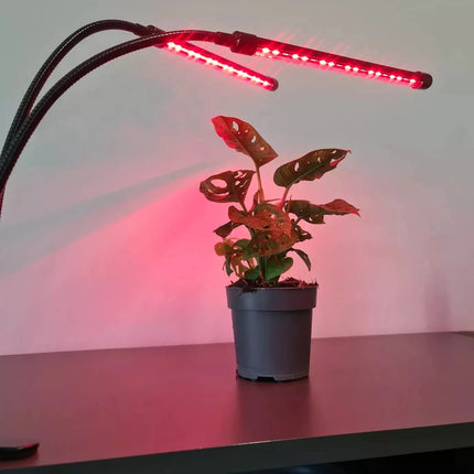 Vækstlampe til planter med timer og fjernbetjening