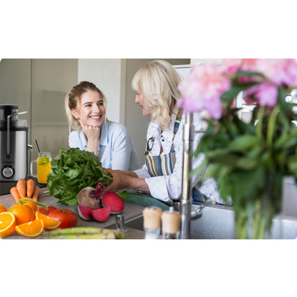 Juicer 600W - Effektiv og stilren saftpresser til sund livsstil