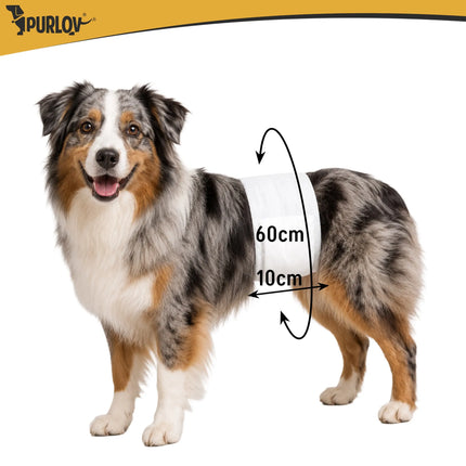 Hundebleer størrelse M-L Purlov